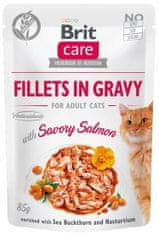 shumee Brit Care Cat filety v pikantní omáčce s lososem 85g