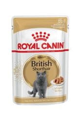 shumee ROYAL CANIN British Shorthair balení 12x85g