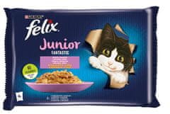 shumee Purina Karma Felix Fantastické junior kuře, losos 4x85g