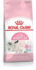 shumee ROYAL CANIN Mother & Babycat 34 0,4kg