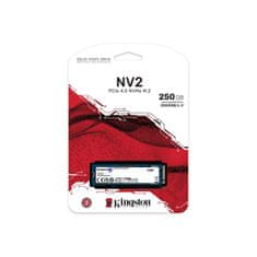 Kingston NV2/250GB/SSD/M.2 NVMe/3R