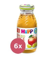 HiPP 6x BIO Šťáva jablečno - hroznová 200 ml