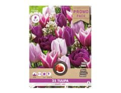 Ceramicus Směs PROMO tulipán triumph AIMEE 25ks