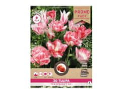 Ceramicus Směs PROMO tulipán PINK ROMANCE 20ks