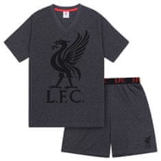 FotbalFans Pánské Pyžamo Liverpool FC, šedé, krátký rukáv, poly-bavlna | XXL