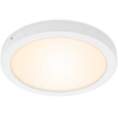 BRILONER BRILONER LED stropní svítidlo, pr. 30 cm, 21,4 W, bílé BRI 7141-016