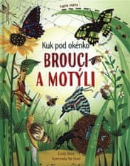 Svojtka & Co. Kuk pod okénko: Brouci a motýli