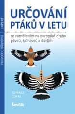 Určování ptáků v letu se zaměřením na evropské druhy pěvců, šplhavců a dalších