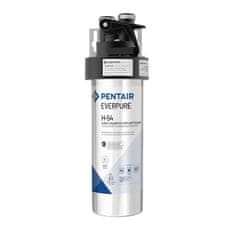 Pentair Everpure H-54