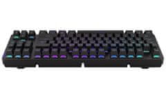 Endorfy herní klávesnice Thock TKL Wireless Black / RGB / black sw. / bezdrátová / mechanická / CZ/SK layout / černá