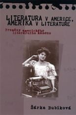 Literatura v Americe, Amerika v literatuře