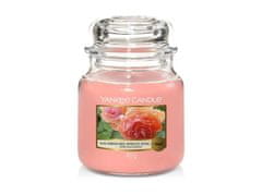 Yankee Candle Sun-Drenched Apricot Rose svíčka 411g