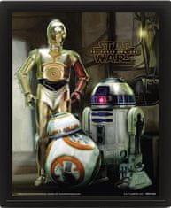 Epee Obraz 3D Star Wars Droids