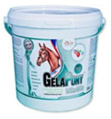 Gelapony VitaMin 10,8kg