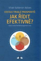 Jak řídit efektivně? / How to Solve the Mismanagement Crisis?