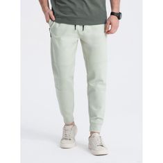 OMBRE Pánské tepláky joggers V3 OM-PASK-0142 světle mátové MDN123509 S