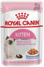 Royal Canin Feline Kitten Instinctive kapsa, želé 85g