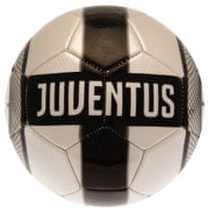 FotbalFans Fotbalový míč Juventus FC, stříbrno-černý, vel. 5