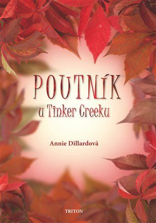 Triton Poutník u Tinker Creeku