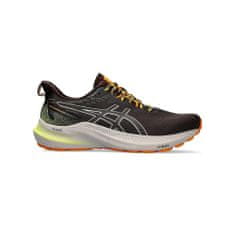 Asics boty Gel-gt-2000 1011B775200