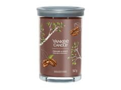 Yankee Candle Aromatická svíčka Signature tumbler velký Praline & Birch 567 g