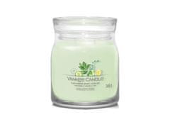 Yankee Candle Aromatická svíčka Signature sklo střední Cucumber Mint Cooler 368 g