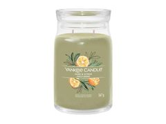 Yankee Candle Sage & Citrus svíčka 567g / 2 knoty (Signature velký)