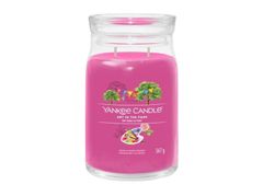 Yankee Candle Aromatická svíčka Signature sklo velké Art In the Park 567 g