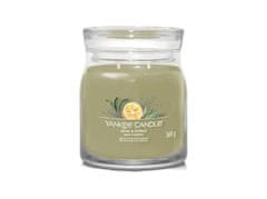 Yankee Candle Sage & Citrus svíčka 368g / 2 knoty (Signature střední)