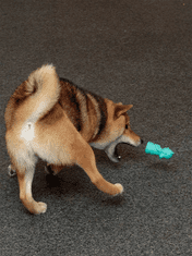 Japan Premium Hračka pro psy z ekologické gumy ve tvaru “Sochy Svobody”