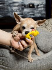Japan Premium Hračka pro psy ve tvaru kachny z ekologické gumy