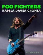 Chick Stevie: Foo Fighters - Kapela Davea Grohla