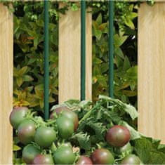 Vidaxl Tyčky k rostlinám 30 ks zelené 150 cm ocel