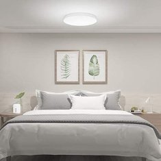 Xiaomi Xiaomi Mi Smart LED Ceiling Light (450mm) 6934177719042