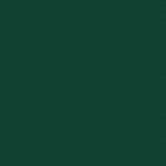 Greatstore Zahradní kůlna zelená 192 x 152,5 x 237 cm pozinkovaná ocel