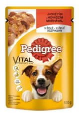 Pedigree kapsa Adult hovězí v želé 100g