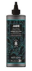 Black professional line Black professional Jade 8sec repairing conditioner 500ml kondicioner s expresním účinkem