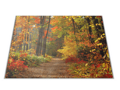 Glasdekor Skleněné prkénko podzimní les s pěšinou - Prkénko: 40x30cm