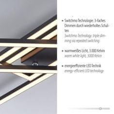 PAUL NEUHAUS LEUCHTEN DIREKT is JUST LIGHT LED stropní svítidlo černá Switchmo 3-krokové stmívání paměťová funkce krokově stmívatelné 3000K LD 14697-18