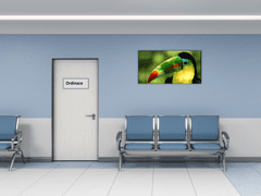 Glasdekor Obraz skleněný papoušek tukan - Rozměry-obdélník: 60 x 100 cm