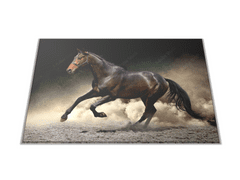 Glasdekor Skleněné prkénko černý kůň klusající v prachu - Prkénko: 40x30cm
