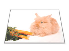Glasdekor Skleněné prkénko domácí králíček s mrkví - Prkénko: 40x30cm