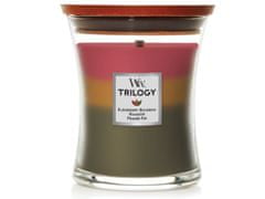 Woodwick Trilogy střední svíčka Hearthside Foyer 275 g