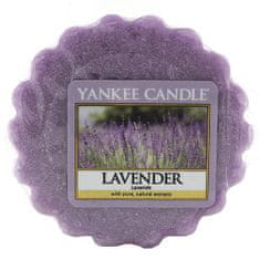 Yankee Candle vosk Lavender 22 g