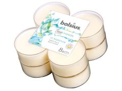 Bolsius Aromatic 2.0 Vonné čajové svíčky Maxi 8ks, In balance