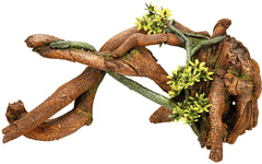 Nobby Mangrovové dřevo 32,7cm