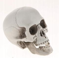 Korbi Umělá lebka, šedě stínovaná lebka, halloweenská dekorace, 20cm