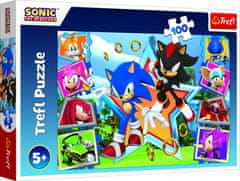 Trefl Puzzle Seznamte se se Sonicem/Sonic the Hedgehog 100 dílků 41x27,5cm v krabici 29x19x4cm