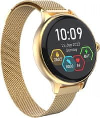 Carneo Hero mini HR+/Gold/Elegant Band/Gold