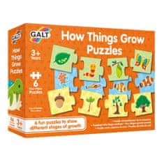 Galt Puzzle - jak věci rostou